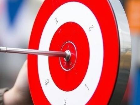 An image of a target that looks like a dart board